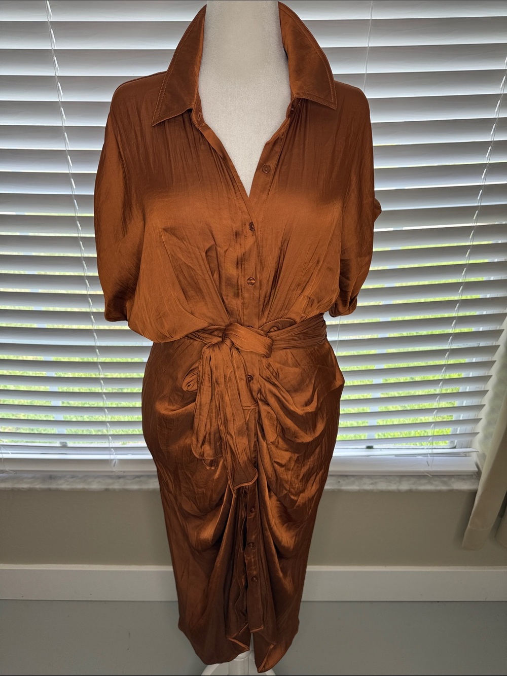 STEVE MADDEN Satin Button-Front Shirt Dress with Waist Tie - Rust